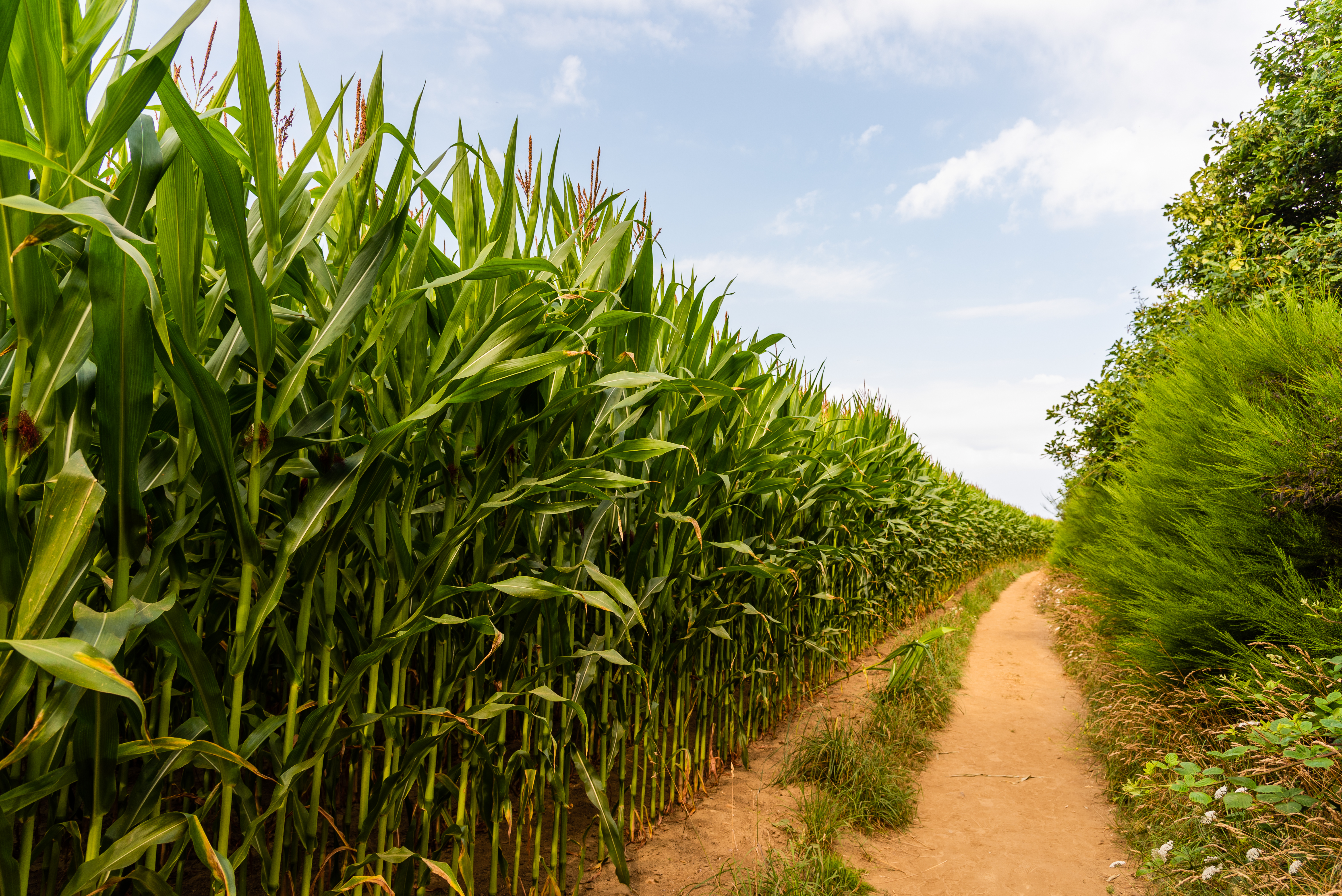 Agriculture moderne